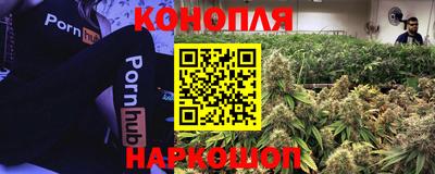 PSILOCYBIN Кунгур