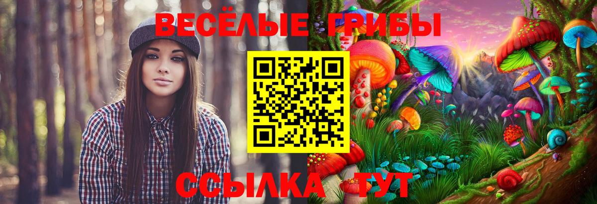 Псилоцибиновые грибы Cubensis Егорьевск