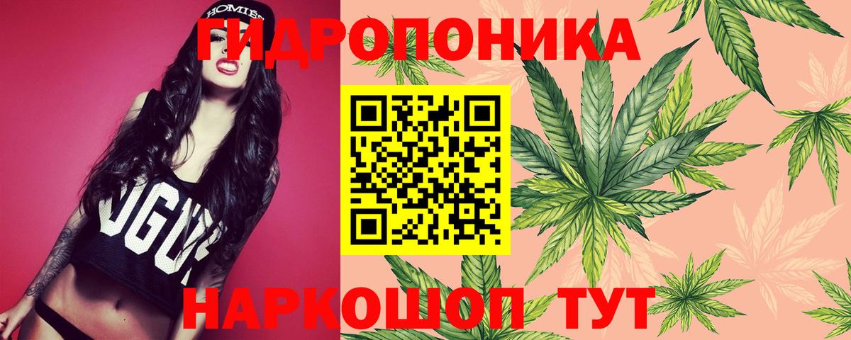 Канабис планчик  Марихуана VHQ  Марихуана тримм  Бошки марихуана OG Kush  Егорьевск  Вход с VPN 